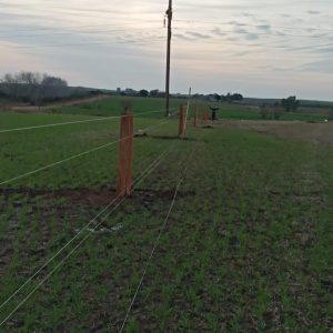 106749254_2431972427094837_6658191846693489197_n